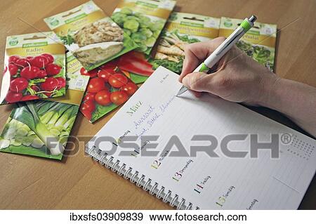 Sowing dates are noted on a calendar next to packets of various seeds View Large Photo Image Stock Photo - Sowing dates are noted on a calendar next to packets of various seeds. Fotosearch