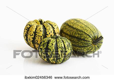 Stock Photograph - Spaghetti Squash and Chameleon Pumpkins. Fotosearch