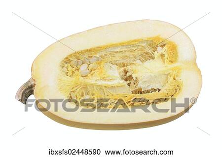 "Spaghetti squash, cut with pulp and seeds" View Large Photo Image Stock Image - "Spaghetti squash, cut with pulp and seeds". Fotosearch