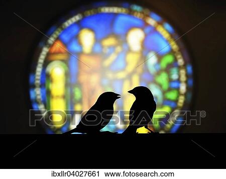 Stock Image - Sparrows against a colourful church window. Fotosearch