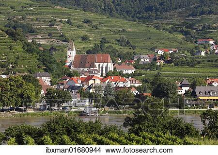 "Spitz, view overlooking vineyards in Oberarnsdorf, Danube, Wachau, Waldviertel, Mostviertel, Lower Austria, Austria, Europe" View Large Photo Image Picture - "Spitz, view overlooking vineyards in Oberarnsdorf, Danube, Wachau, Waldviertel, Mostviertel, Lower Austria, Austria, Europe". Fotosearch