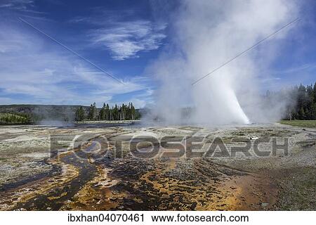 "Splendid Geyser, Upper Geyser Basin, Yellowstone National Park, Wyoming, United States, North America" View Large Photo Image Stock Image - "Splendid Geyser, Upper Geyser Basin, Yellowstone National Park, Wyoming, United States, North America". Fotosearch