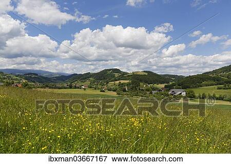 "Spring meadow, Granitztal valley, near St. Paul im Lavanttal, Carinthia, Austria, Europe" View Large Photo Image Stock Photo - "Spring meadow, Granitztal valley, near St. Paul im Lavanttal, Carinthia, Austria, Europe". Fotosearch