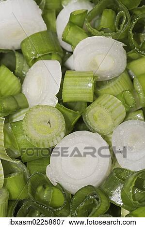 "Spring onions, sliced" View Large Photo Image Stock Photo - "Spring onions, sliced". Fotosearch