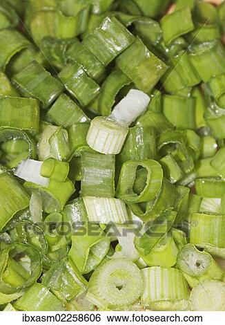 "Spring onions, sliced" View Large Photo Image Stock Photograph - "Spring onions, sliced". Fotosearch