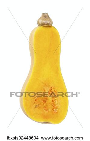 "Squash, Butternut Squash (Cucurbita moschata), cut with pulp" View Large Photo Image Picture - "Squash, Butternut Squash (Cucurbita moschata), cut with pulp". Fotosearch