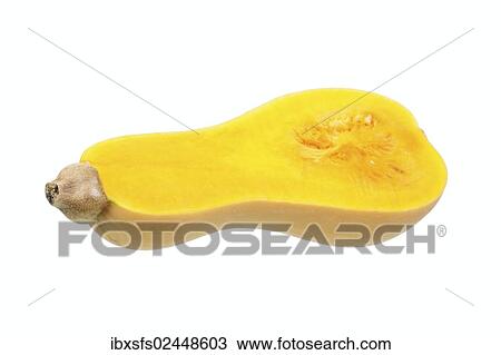 "Squash, butternut squash (Cucurbita moschata), cut squash with pulp" View Large Photo Image Stock Image - "Squash, butternut squash (Cucurbita moschata), cut squash with pulp". Fotosearch