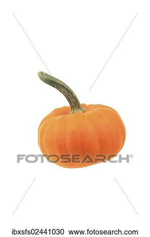 "Squash, """"Mandarin"""" variety" View Large Photo Image Stock Image - "Squash, """"Mandarin"""" variety". Fotosearch