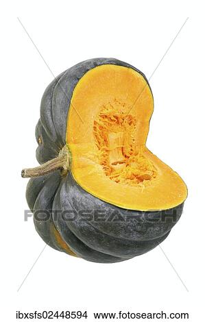 "Squash or pumpkin, Muscade de Provence, Muscat de Provence pumpkin, cut with pulp and seeds" View Large Photo Image Picture - "Squash or pumpkin, Muscade de Provence, Muscat de Provence pumpkin, cut with pulp and seeds". Fotosearch