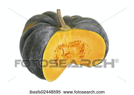 "Squash or pumpkin, Muscade de Provence, Muscat de Provence pumpkin, cut with pulp and seeds" View Large Photo Image Stock Photography - "Squash or pumpkin, Muscade de Provence, Muscat de Provence pumpkin, cut with pulp and seeds". Fotosearch