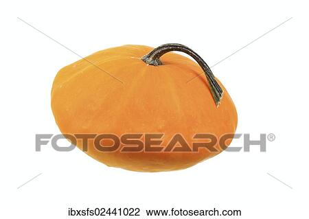 "Squash, """"Patisson"""" variety" View Large Photo Image Stock Image - "Squash, """"Patisson"""" variety". Fotosearch