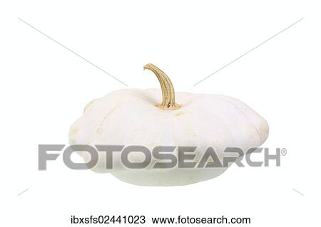 "Squash, """"Patisson"""" variety" View Large Photo Image Stock Image - "Squash, """"Patisson"""" variety". Fotosearch
