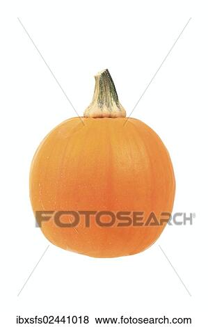 "Squash, """"Pomme d'Or"""" variety" View Large Photo Image Stock Photo - "Squash, """"Pomme d'Or"""" variety". Fotosearch