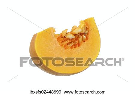 "Squash, slice of mini musk pumpkin (Cucurbita moschata), cut with pulp and seeds" View Large Photo Image Stock Photo - "Squash, slice of mini musk pumpkin (Cucurbita moschata), cut with pulp and seeds". Fotosearch