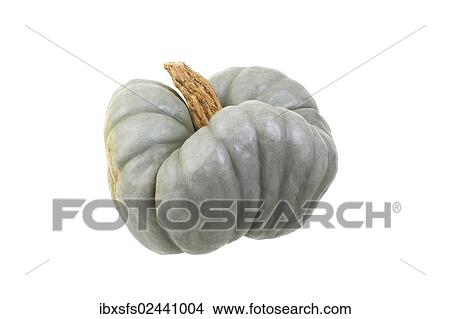"Squash, """"Tristar"""" variety" View Large Photo Image Picture - "Squash, """"Tristar"""" variety". Fotosearch
