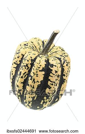 Stock Image - "Squash variety, Acorn Heart of Gold". Fotosearch