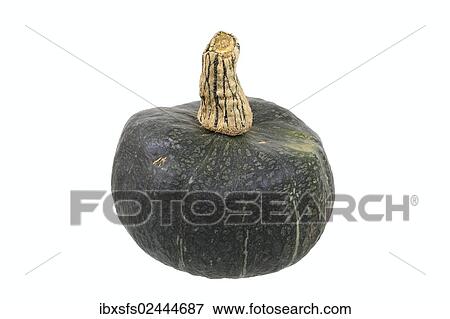 Stock Photo - "Squash variety, Buttercup". Fotosearch