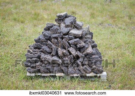 "Stack of extracted peat from the Scottish Highland moors, Durness, Schottisches Hochland, Scotland, United Kingdom, Europe" View Large Photo Image Stock Image - "Stack of extracted peat from the Scottish Highland moors, Durness, Schottisches Hochland, Scotland, United Kingdom, Europe". Fotosearch