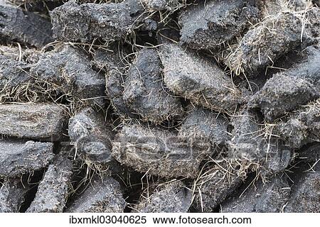 "Stack of extracted peat from the Scottish Highland moors, Durness, Schottisches Hochland, Scotland, United Kingdom, Europe" View Large Photo Image Stock Photography - "Stack of extracted peat from the Scottish Highland moors, Durness, Schottisches Hochland, Scotland, United Kingdom, Europe". Fotosearch