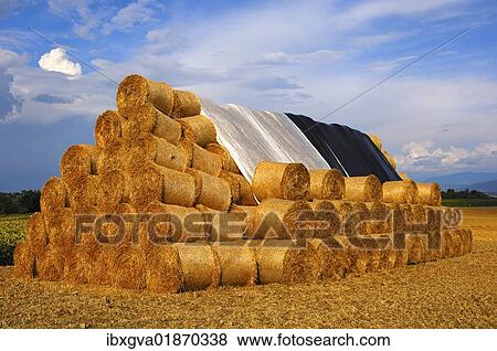 Stack of round straw bales View Large Photo Image Stock Photo - Stack of round straw bales. Fotosearch