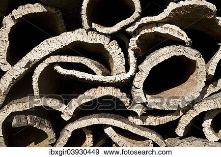 "Stacked cork, Algarve, Portugal, Europe" View Large Photo Image Stock Photo - "Stacked cork, Algarve, Portugal, Europe". Fotosearch