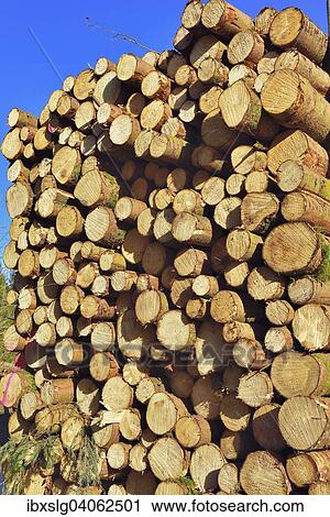 "Stacked lumber, spruce logs, Bavaria, Germany, Europe" View Large Photo Image Stock Image - "Stacked lumber, spruce logs, Bavaria, Germany, Europe". Fotosearch