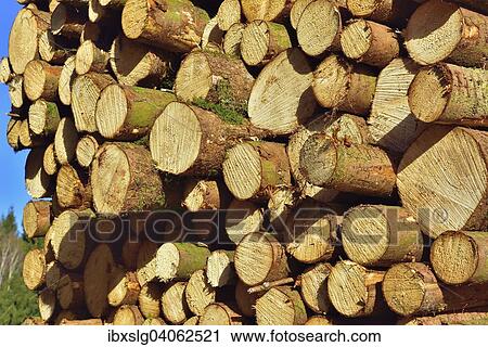 "Stacked lumber, spruce logs, Bavaria, Germany, Europe" View Large Photo Image Stock Image - "Stacked lumber, spruce logs, Bavaria, Germany, Europe". Fotosearch