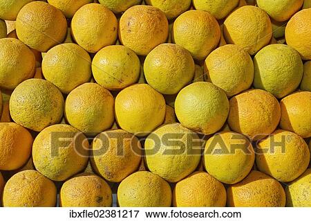 "Stacked oranges at the market of Ephesus, Ephesos, Efes, Izmir, Turkish Aegean, western Turkey, Turkey, Asia" View Large Photo Image Stock Photo - "Stacked oranges at the market of Ephesus, Ephesos, Efes, Izmir, Turkish Aegean, western Turkey, Turkey, Asia". Fotosearch