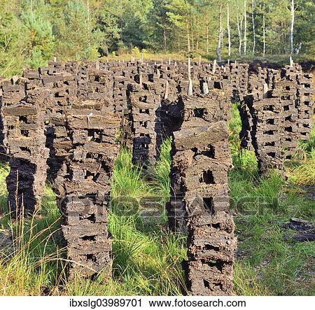 "Stacks of peat sods left or drying in the traditional manner, Grundbeckenmoor Rosenheim, near Raubling, Upper Bavaria, Bavaria, Germany, Europe" View Large Photo Image Stock Image - "Stacks of peat sods left or drying in the traditional manner, Grundbeckenmoor Rosenheim, near Raubling, Upper Bavaria, Bavaria, Germany, Europe". Fotosearch