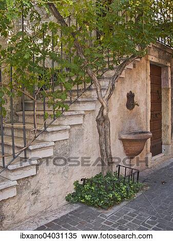 "Staircase with a vine, Mediterranean, Torri del Benaco, Veneto, Italy, Europe" View Large Photo Image Stock Photography - "Staircase with a vine, Mediterranean, Torri del Benaco, Veneto, Italy, Europe". Fotosearch