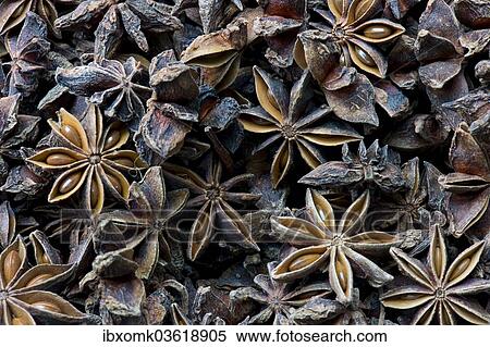 Stock Photography - "Star anise, Kerala, India, Asia". Fotosearch