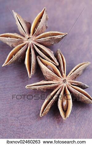 Star anise View Large Photo Image Stock Image - Star anise. Fotosearch
