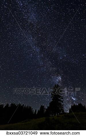 "Starry sky with the Milky Way over a forest, Flums, Canton of St. Gallen, Switzerland, Europe" View Large Photo Image Stock Photo - "Starry sky with the Milky Way over a forest, Flums, Canton of St. Gallen, Switzerland, Europe". Fotosearch