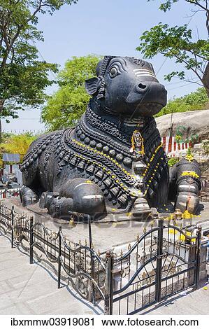 "Statue of a decorated holy cow, Nandi Bull, Chamundi Hill, Mysore, Karnataka, India, Asia" View Large Photo Image Stock Image - "Statue of a decorated holy cow, Nandi Bull, Chamundi Hill, Mysore, Karnataka, India, Asia". Fotosearch
