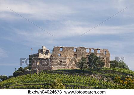 "Staufen Castle ruins, Staufen im Breisgau, Black Forest, Baden-Wurttemberg, Germany, Europe" View Large Photo Image Stock Image - "Staufen Castle ruins, Staufen im Breisgau, Black Forest, Baden-Wurttemberg, Germany, Europe". Fotosearch