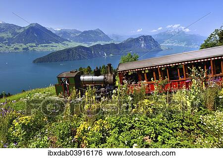 "steam railway climbing Mount Rigi, Lake Lucerne, Burgenstock mountain and Pilatus mountain at the back, Vitznau, Canton of Lucerne, Switzerland, Europe" View Large Photo Image Stock Photograph - "steam railway climbing Mount Rigi, Lake Lucerne, Burgenstock mountain and Pilatus mountain at the back, Vitznau, Canton of Lucerne, Switzerland, Europe". Fotosearch