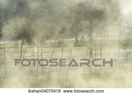 "Steam rises above the hot springs, Firehole Lake Drive, Yellowstone National Park, Wyoming, United States, North America" View Large Photo Image Stock Photo - "Steam rises above the hot springs, Firehole Lake Drive, Yellowstone National Park, Wyoming, United States, North America". Fotosearch