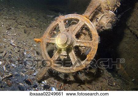 "Steering wheel, wreck """"Lieutenant Zatsarennyj"""", Zmiinyi Island, Black Sea, Ukraine, Eastern Europe, Europe" View Large Photo Image Stock Image - "Steering wheel, wreck """"Lieutenant Zatsarennyj"""", Zmiinyi Island, Black Sea, Ukraine, Eastern Europe, Europe". Fotosearch