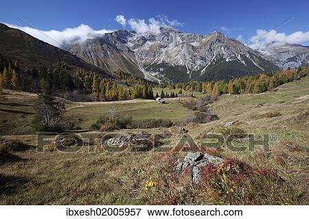 "Steineralm alp, Lake Obernberg, Obernberg, Tyrol, Austria, Europe" View Large Photo Image Stock Photo - "Steineralm alp, Lake Obernberg, Obernberg, Tyrol, Austria, Europe". Fotosearch