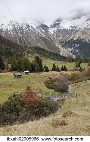 "Steineralm alpine pasture, Lake Obernberg, Tyrol, Austria, Europe" View Large Photo Image Stock Photograph - "Steineralm alpine pasture, Lake Obernberg, Tyrol, Austria, Europe". Fotosearch