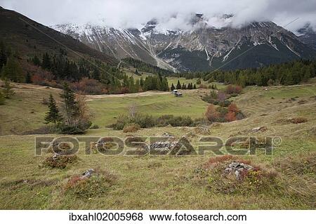 "Steineralm alpine pasture, Obernberg, Tyrol, Austria, Europe" View Large Photo Image Stock Photo - "Steineralm alpine pasture, Obernberg, Tyrol, Austria, Europe". Fotosearch