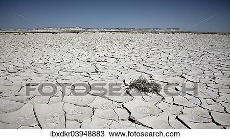 "Steppe near Balkanabat, Oglanly, Balkan Province, Turkmenistan, Asia" View Large Photo Image Stock Image - "Steppe near Balkanabat, Oglanly, Balkan Province, Turkmenistan, Asia". Fotosearch