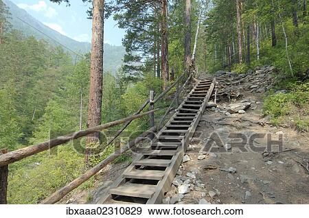 Stock Photo - "Steps on hiking trail, Sayan Mountains, Arshan, Tunkinsky District, Republic of Buryatia, Siberia, Russian Federation, Eurasia". Fotosearch