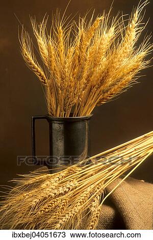 Stock Image - Still life of wheat. Fotosearch