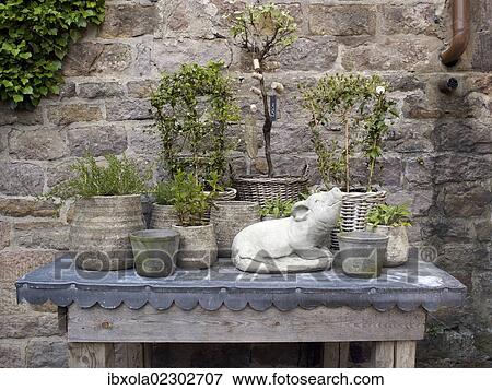 "Still life, old ceramic vases and flower pots on an old wooden table" View Large Photo Image Stock Photo - "Still life, old ceramic vases and flower pots on an old wooden table". Fotosearch