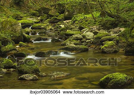 "Stillensteinklamm gorge, Giessenbach stream, Grein an der Donau, Upper Austria, Austria, Europe" View Large Photo Image Picture - "Stillensteinklamm gorge, Giessenbach stream, Grein an der Donau, Upper Austria, Austria, Europe". Fotosearch