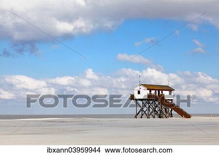 "Stilt building on the beach, St. Peter-Ording, Eiderstedt, North Frisia, Schleswig-Holstein, Northern Germany, Germany, Europe" View Large Photo Image Picture - "Stilt building on the beach, St. Peter-Ording, Eiderstedt, North Frisia, Schleswig-Holstein, Northern Germany, Germany, Europe". Fotosearch