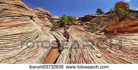 "Stone desert landscape, The Needles, Canyonlands National Park, Moab, Utah, United States, North America" View Large Photo Image Stock Photo - "Stone desert landscape, The Needles, Canyonlands National Park, Moab, Utah, United States, North America". Fotosearch