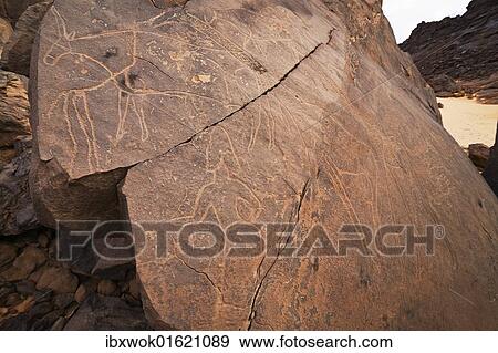 "Stone engravings in the Libyan stone desert, elephants, Tassili Maridet, Libya, Sahara, North Africa, Africa" View Large Photo Image Stock Photo - "Stone engravings in the Libyan stone desert, elephants, Tassili Maridet, Libya, Sahara, North Africa, Africa". Fotosearch