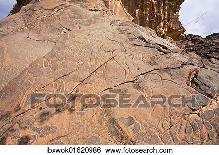 "Stone engravings in the Libyan stone desert, elephants, Tassili Maridet, Libya, Sahara, North Africa, Africa" View Large Photo Image Stock Photograph - "Stone engravings in the Libyan stone desert, elephants, Tassili Maridet, Libya, Sahara, North Africa, Africa". Fotosearch